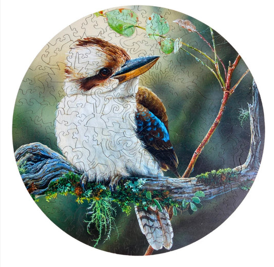 Kookaburra