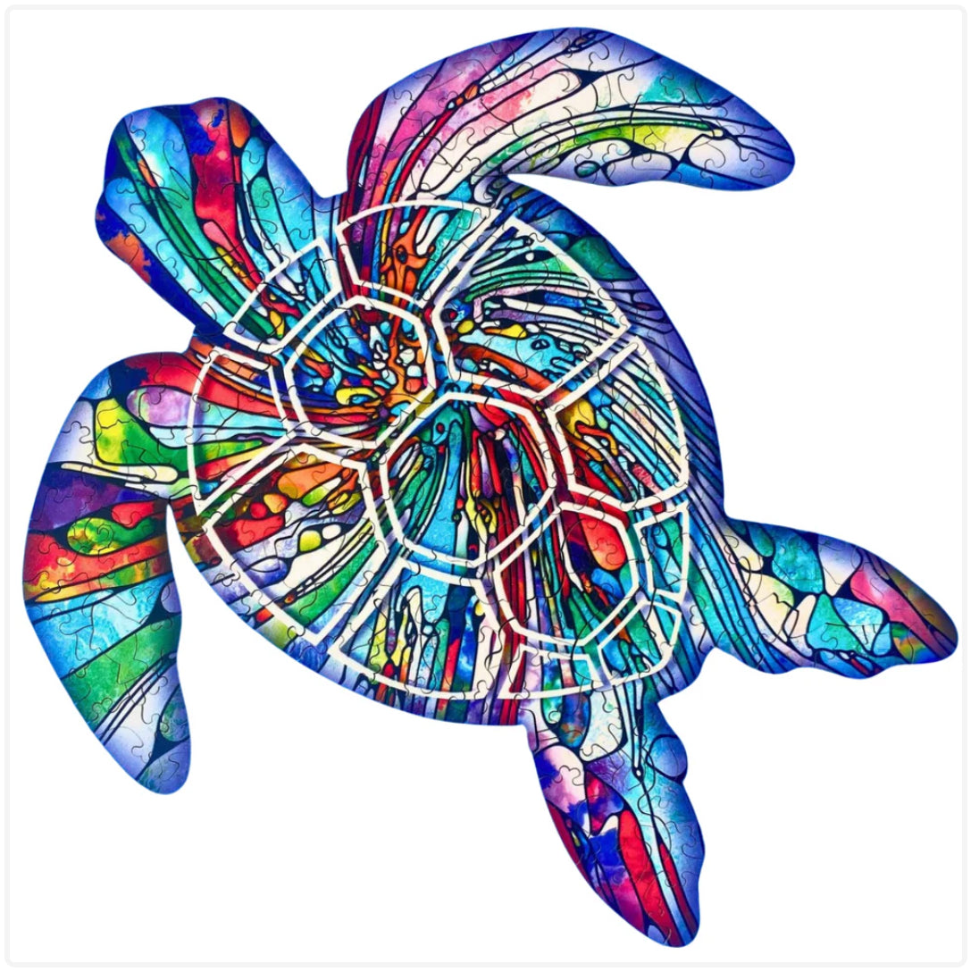 Mooloolaba Turtle